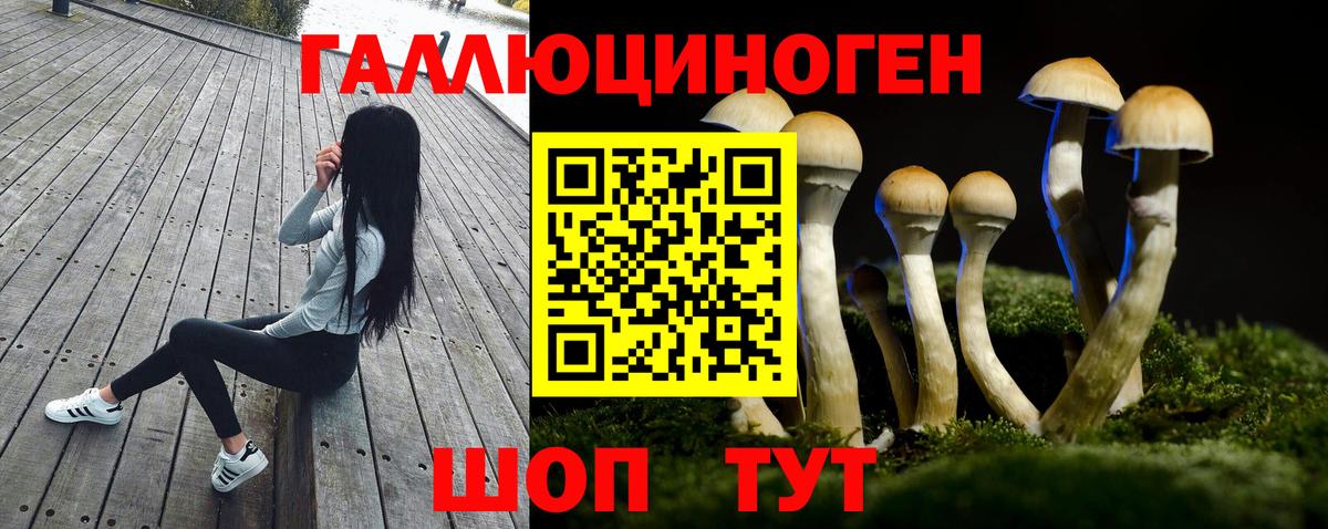 Псилоцибиновые грибы мицелий  Вход с VPN  Шатура 